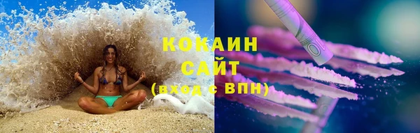 прущие грибы Абаза