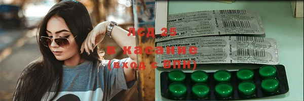 прущие грибы Абаза