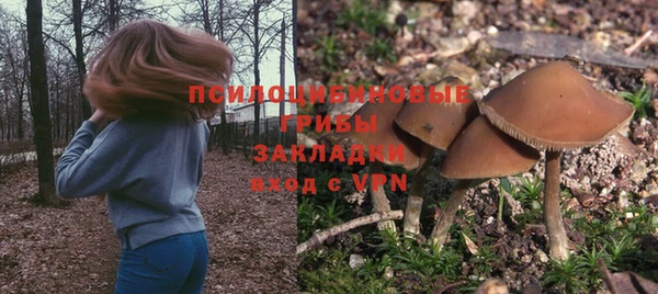 соль ск Абдулино