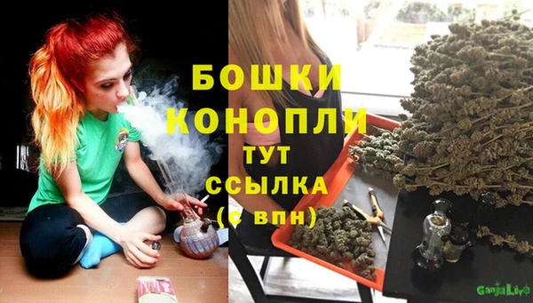 прущие грибы Абаза