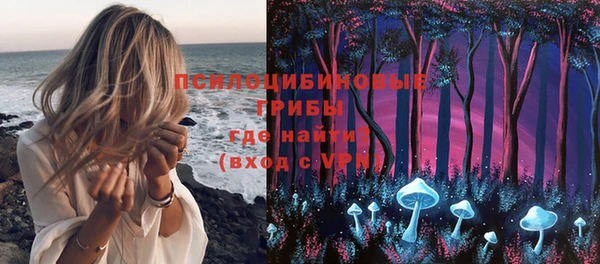 соль ск Абдулино