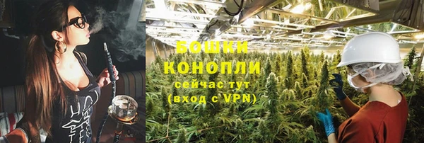 прущие грибы Абаза