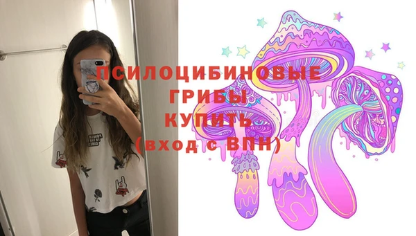 прущие грибы Абаза