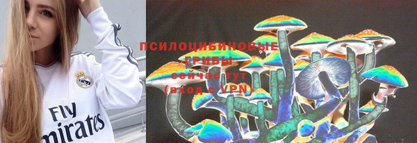 прущие грибы Абаза