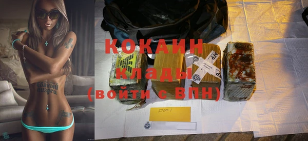 прущие грибы Абаза