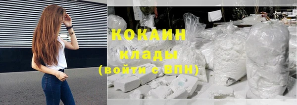 прущие грибы Абаза